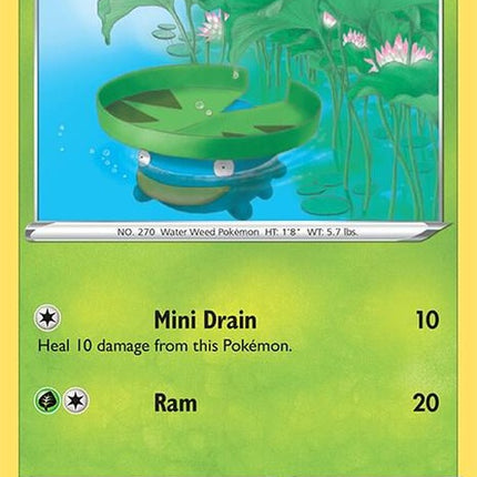 7-lotad