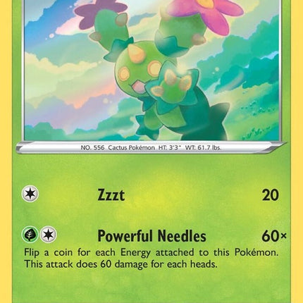 7-maractus