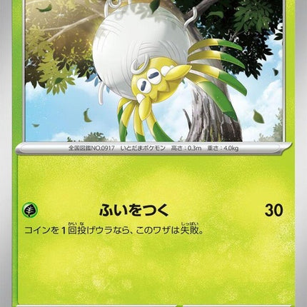 7-tarountula