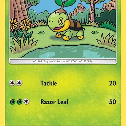 7-turtwig