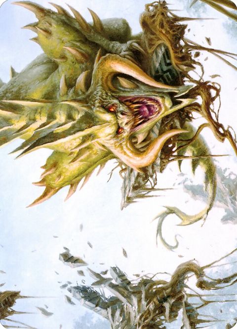 70-canopybalothcanopybaloth