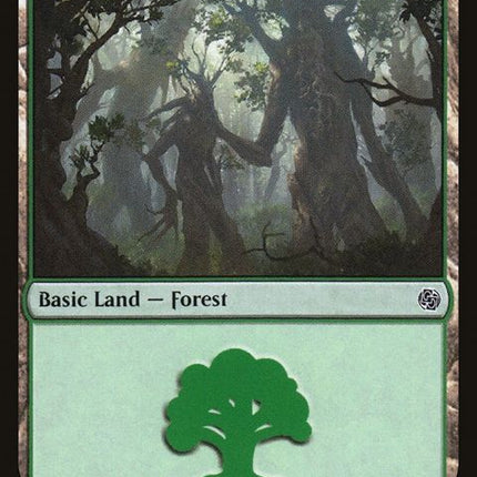 70-forest