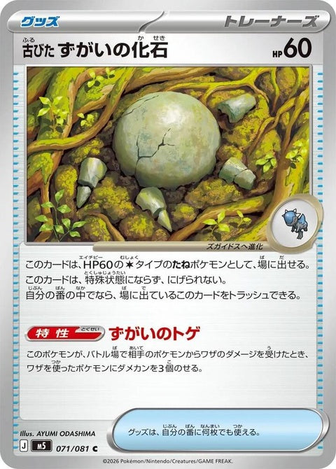 71-antiqueskullfossil