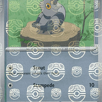 71-pidove-masterballpattern