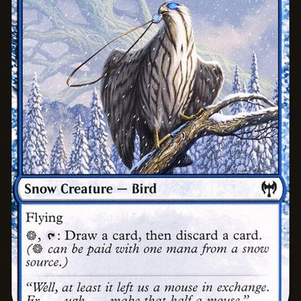 71-pilferinghawk