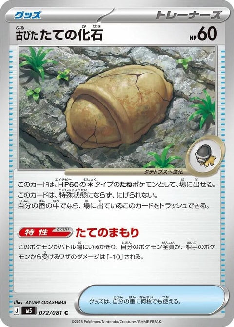 72-antiquearmorfossil
