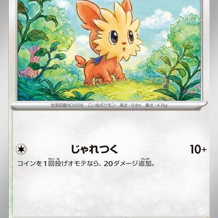 72-lillipup