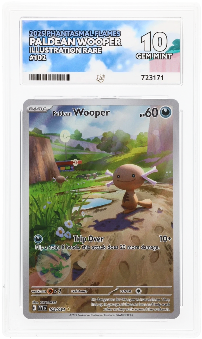 Paldean Wooper - Phantasmal Flames 102 - Graded ACE 10