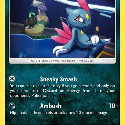 73-sneasel