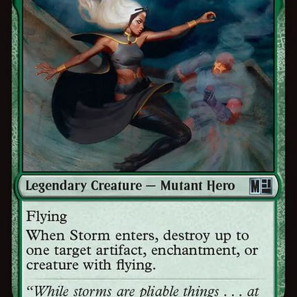 733-stormshakerofskies