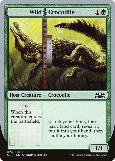 74-wildcrocodile