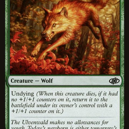 746-youngwolf