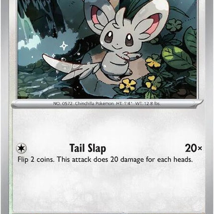 75-minccino