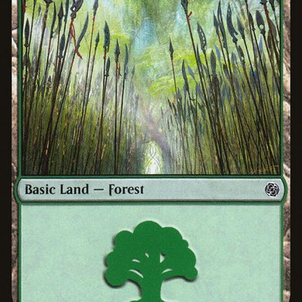 77-forest