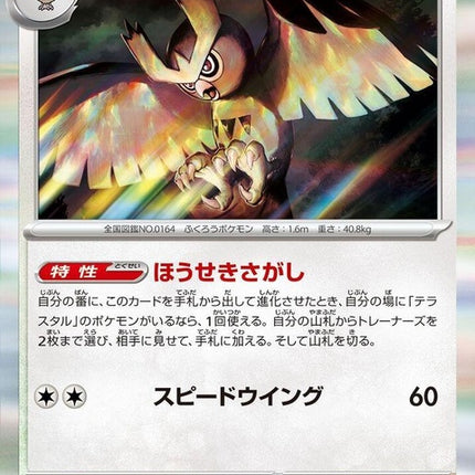 77-noctowl
