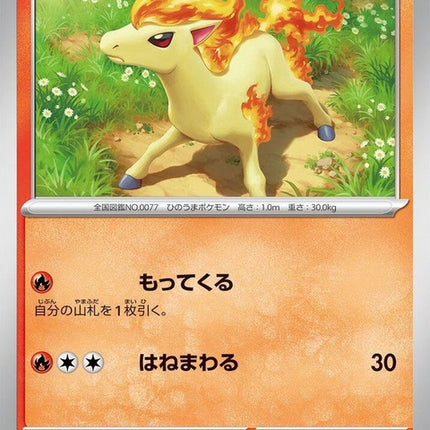 77-ponyta