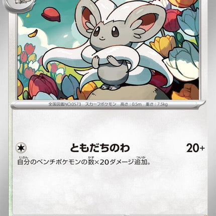 78-cinccino