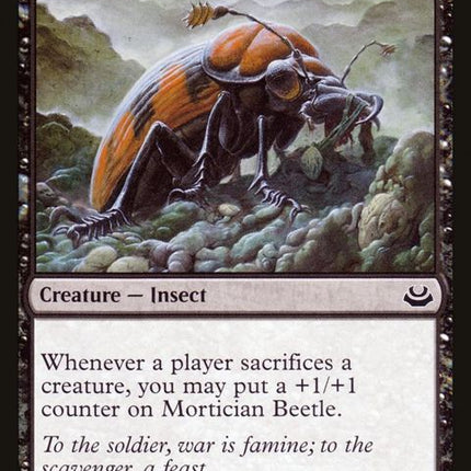 78-morticianbeetle