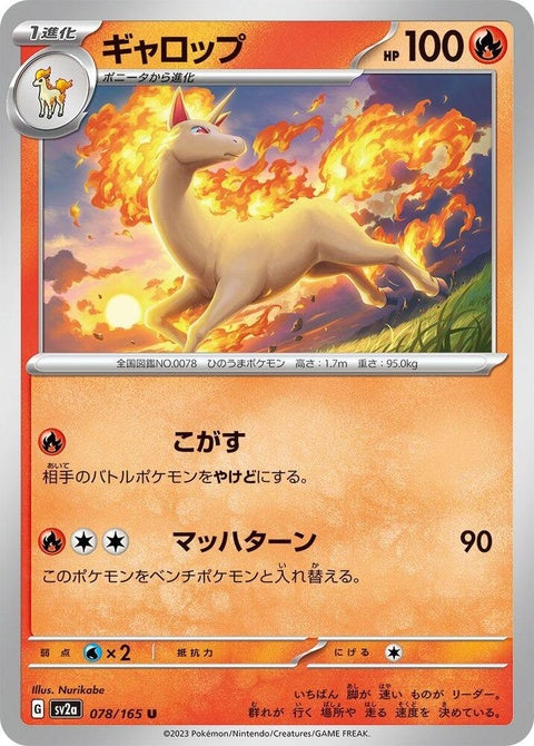 78-rapidash
