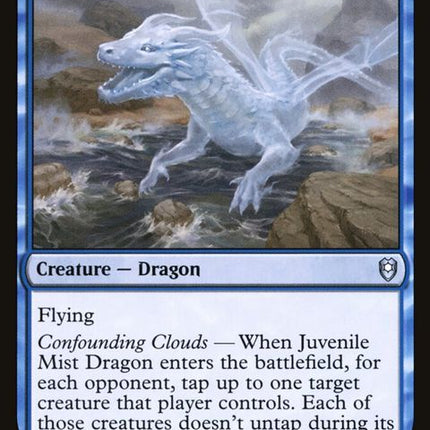 79-juvenilemistdragon