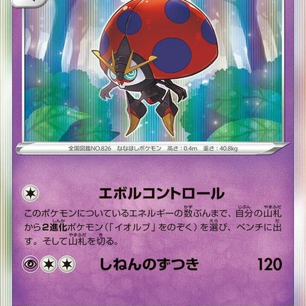 79-orbeetle