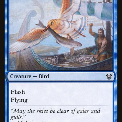 79-vexinggull