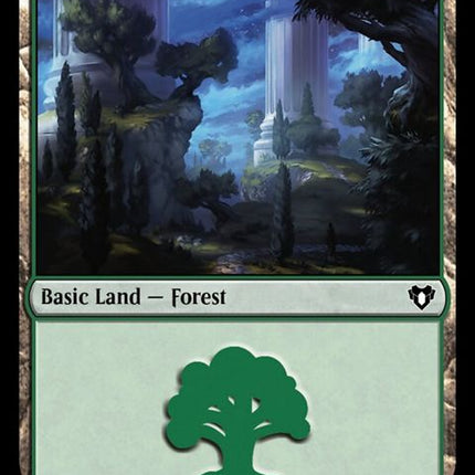 798-forest