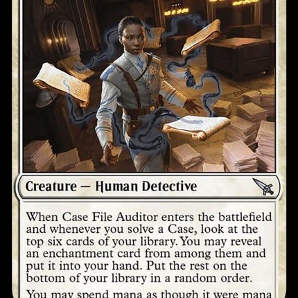 7†-casefileauditor