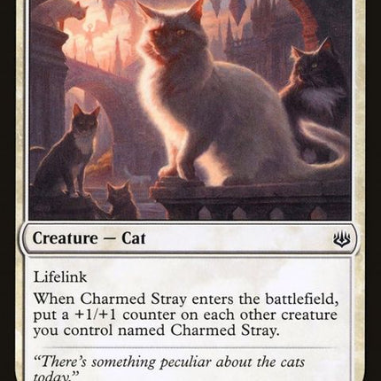 8-charmedstray