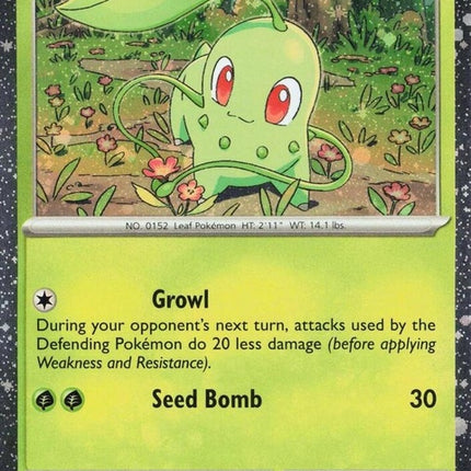 8-chikorita-cosmosholo