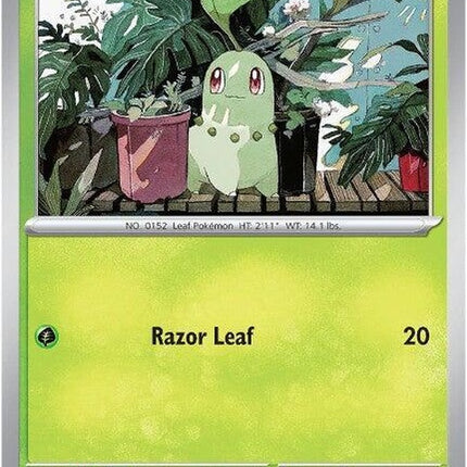 8-chikorita