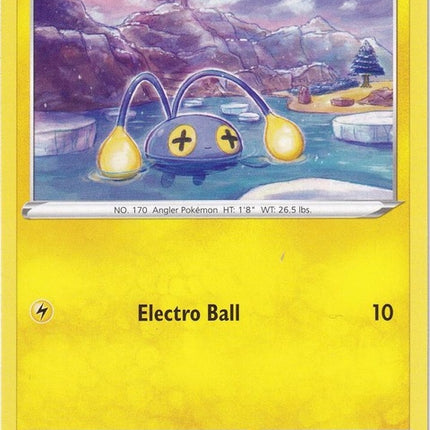 8-chinchou