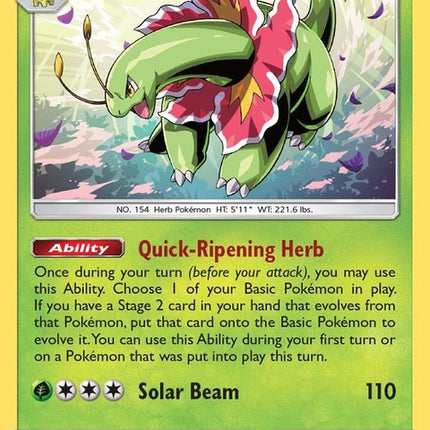8-meganium