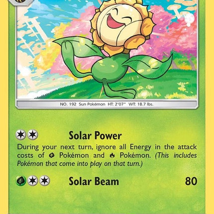 8-sunflora
