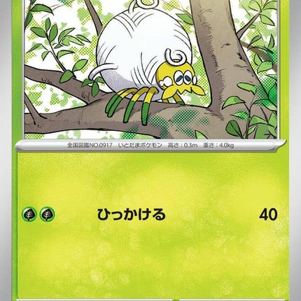 8-tarountula
