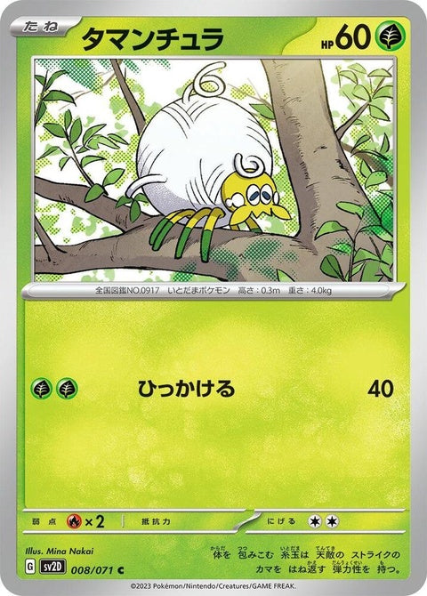 8-tarountula