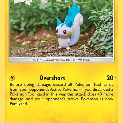 80-pachirisu