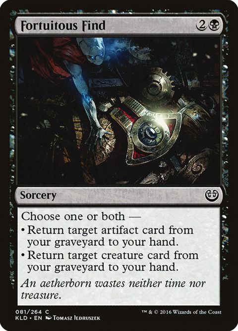 81-fortuitousfind
