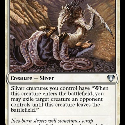 818-constrictingsliver