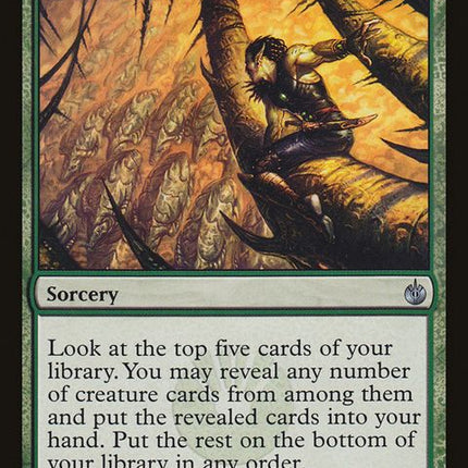82-leadthestampede