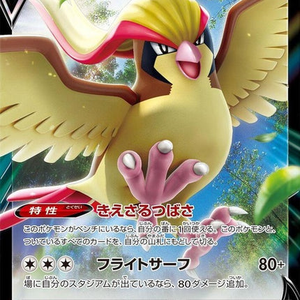 82-pidgeotv