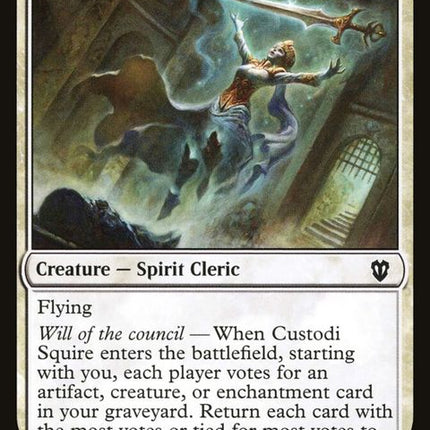 83-custodisquire