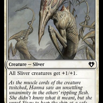 837-sinewsliver