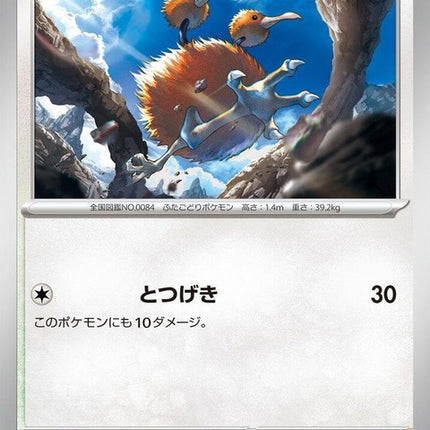 84-doduo