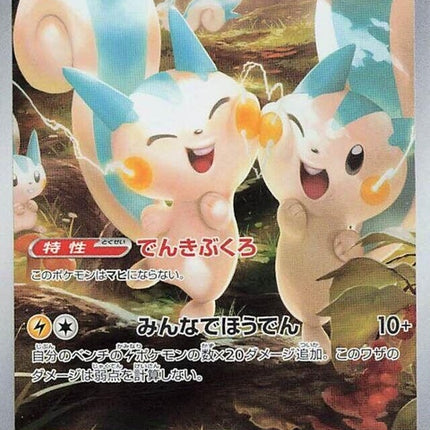 84-pachirisu