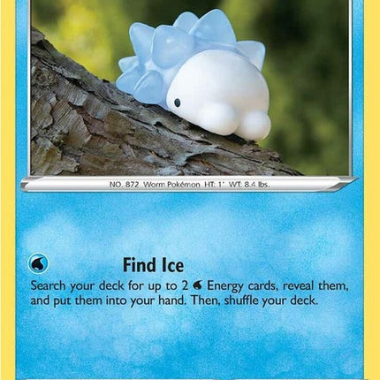 84-snom