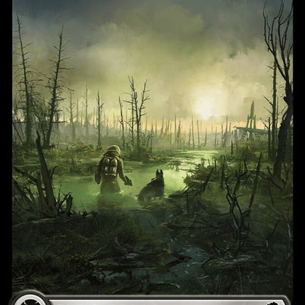 849-swamp