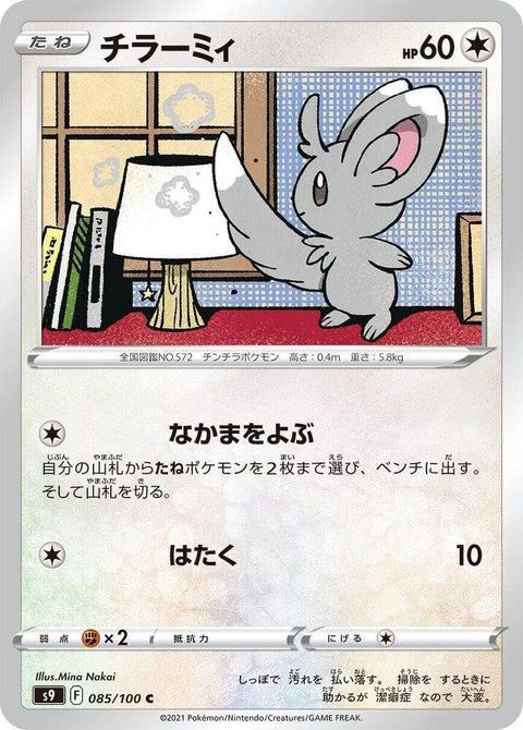 85-minccino