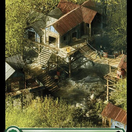 854-forest