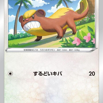 86-yungoos